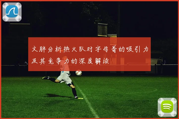 文胖分析热火队对字母哥的吸引力及其竞争力的深度解读