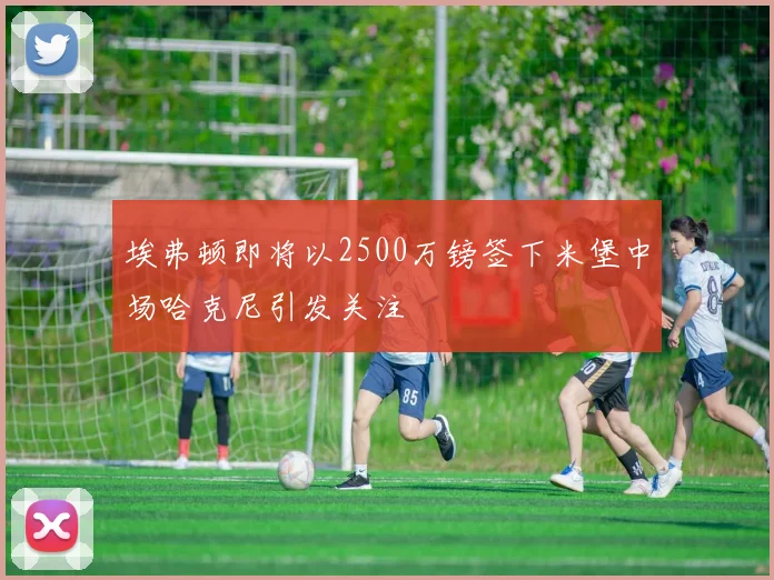 埃弗顿即将以2500万镑签下米堡中场哈克尼引发关注